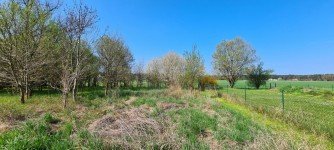 Hauptbild Schönes großes Baugrundstück in ruhiger und grüner Lage